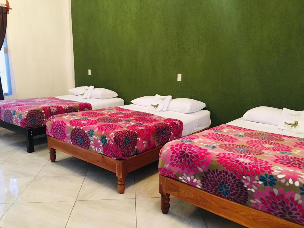 Hotel Maya Balam Xpujil Zewnętrze zdjęcie
