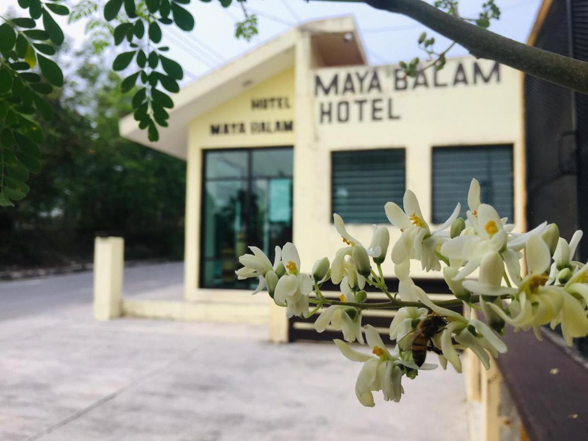 Hotel Maya Balam Xpujil Zewnętrze zdjęcie